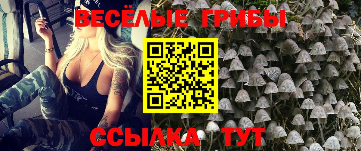 Галлюциногенные грибы Cubensis  купить закладку  Галлюциногенные грибы GOLDEN TEACHER  Вязьма  Вход с VPN 
